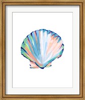 Framed Pop Shell Study III