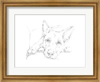 Framed Lazy Dog IV