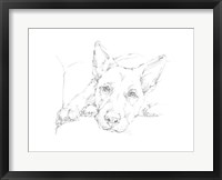 Framed Lazy Dog IV