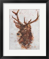 Framed Stag Study I