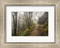 Framed Narrow Path