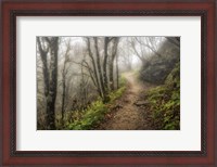 Framed Narrow Path