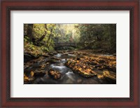 Framed Stone Bridge