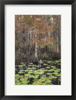 Framed Black Water I