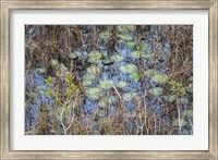 Framed Marsh