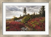 Framed Highland Trail