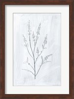 Framed Milkweeds I