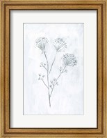 Framed Milkweeds II