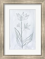Framed Milkweeds III