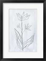 Framed Milkweeds III