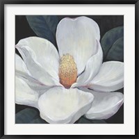 Framed Blooming Magnolia I