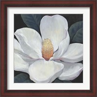 Framed 'Blooming Magnolia I' border=