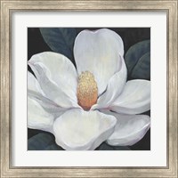Framed Blooming Magnolia I