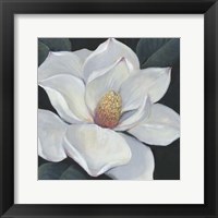 Framed Blooming Magnolia II