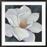 Framed Blooming Magnolia II