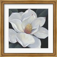 Framed Blooming Magnolia II