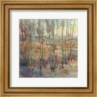 Framed Kaleidoscopic Forest II