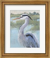 Framed 'Blue Heron Portrait I' border=