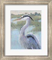 Framed 'Blue Heron Portrait I' border=
