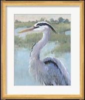 Framed 'Blue Heron Portrait I' border=