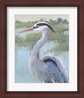 Framed Blue Heron Portrait I