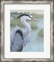 Framed 'Blue Heron Portrait II' border=