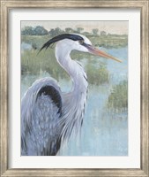 Framed Blue Heron Portrait II