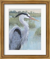 Framed Blue Heron Portrait II