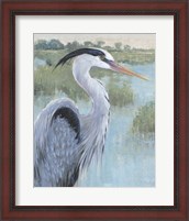 Framed Blue Heron Portrait II