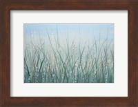 Framed Tall Grass I