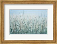 Framed Tall Grass I