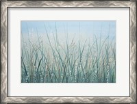 Framed Tall Grass I