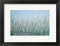 Framed Tall Grass II