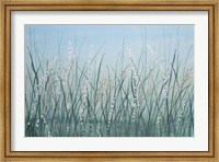 Framed Tall Grass II