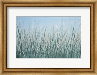 Framed Tall Grass II