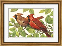 Framed Cardinals