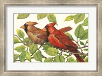 Framed Cardinals