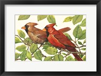 Framed Cardinals