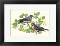 Framed Song Birds I