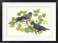 Framed Song Birds I