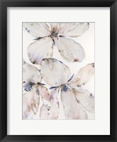 Soft Wind Flowers II Framed Print
