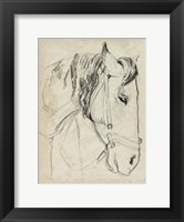 Framed Horse in Bridle Sketch I