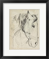 Framed Horse in Bridle Sketch I