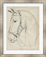 Framed Horse in Bridle Sketch II