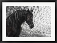 Framed Equine Portrait III
