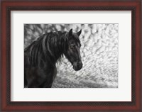 Framed Equine Portrait III