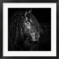 Framed 'Equine Portrait IX' border=