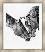 Framed Equine Portrait VI
