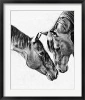 Framed Equine Portrait VI