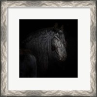 Framed 'Equine Portrait X' border=